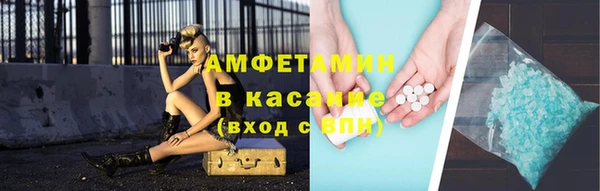 крисы Богородицк