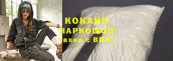 крисы Богородицк