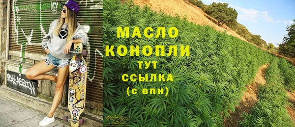 крисы Богородицк