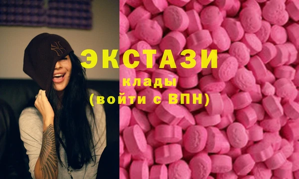 крисы Богородицк