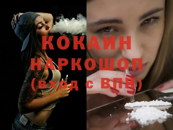 крисы Богородицк