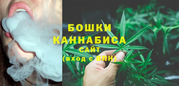 PSILOCYBIN Сосновка