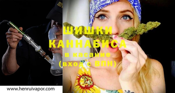 крисы Богородицк